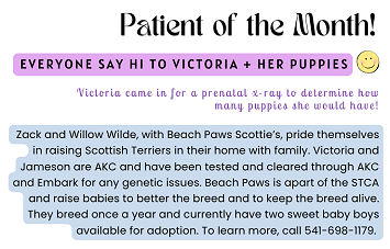 Pet of the Month Notes