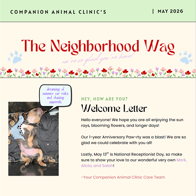 May 2026 Companion Animcal Clinic Newsletter Cover